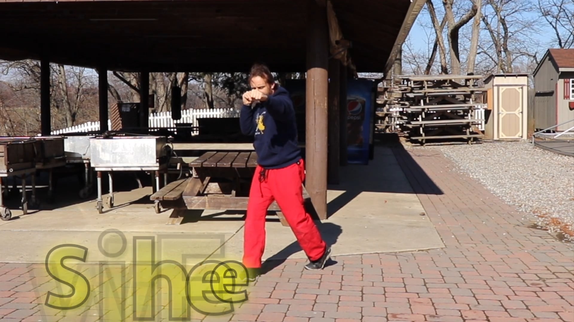 Low Impact Online Class:  MMA Tai Chi