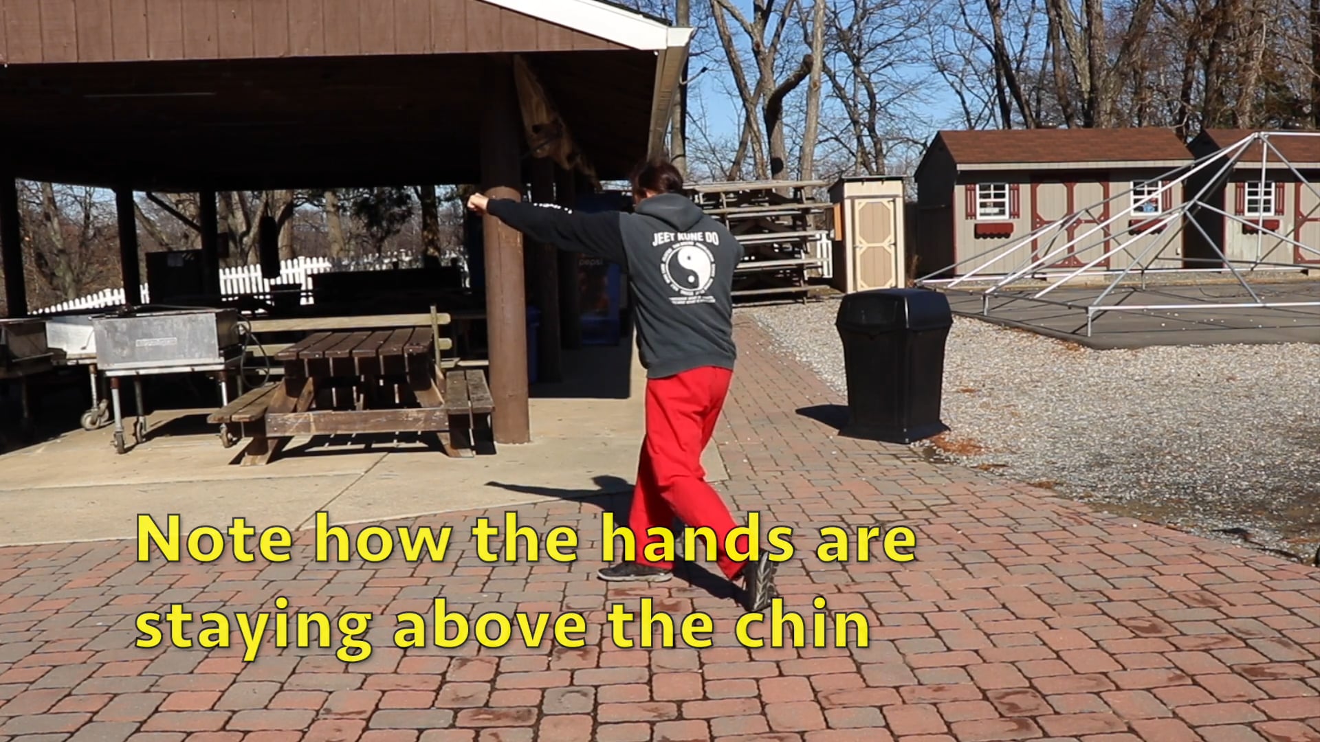 Online Class - Beginner Workout (Feb 5, 2018)