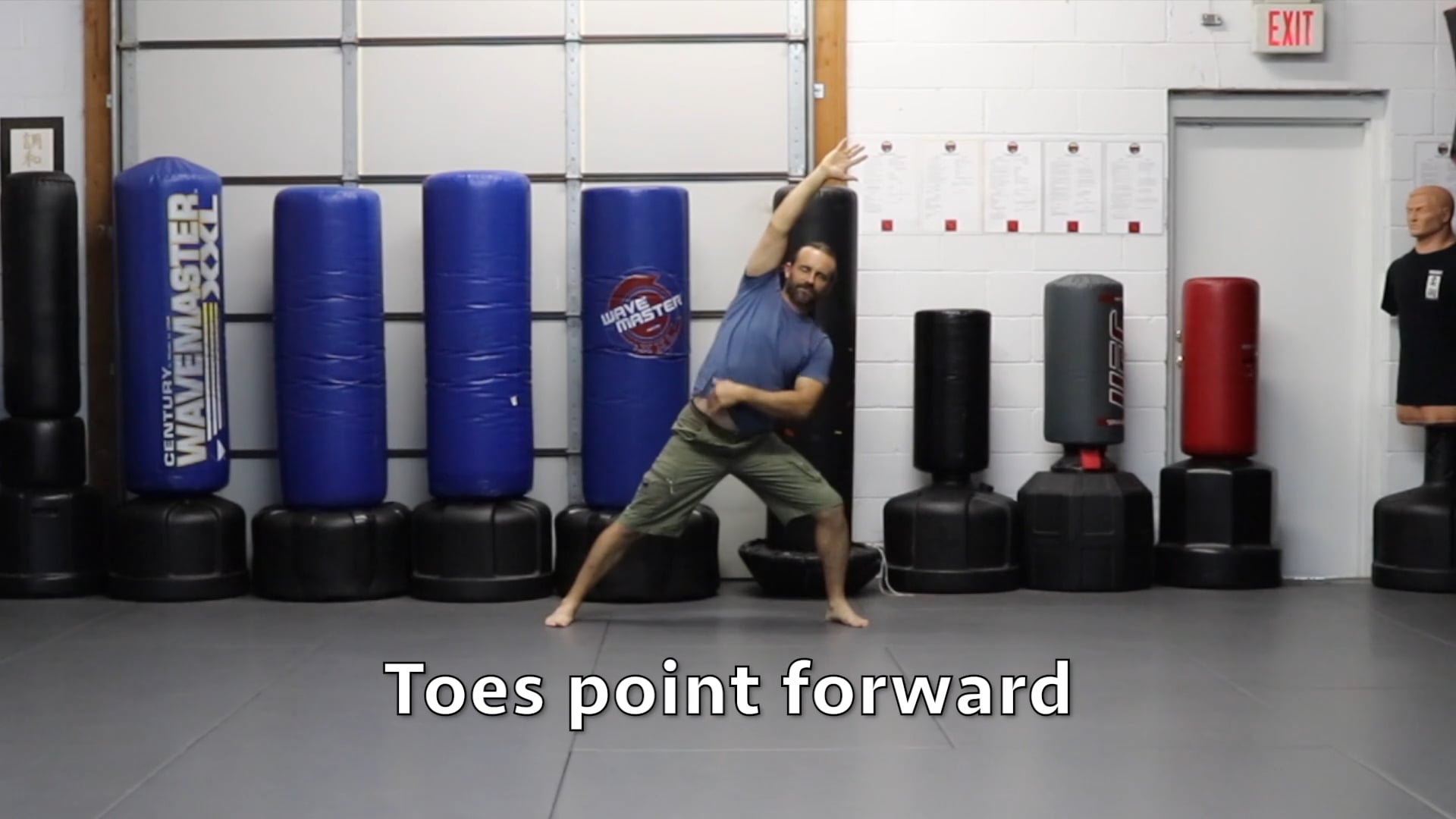 Online Class:  MMA Tai Chi 5