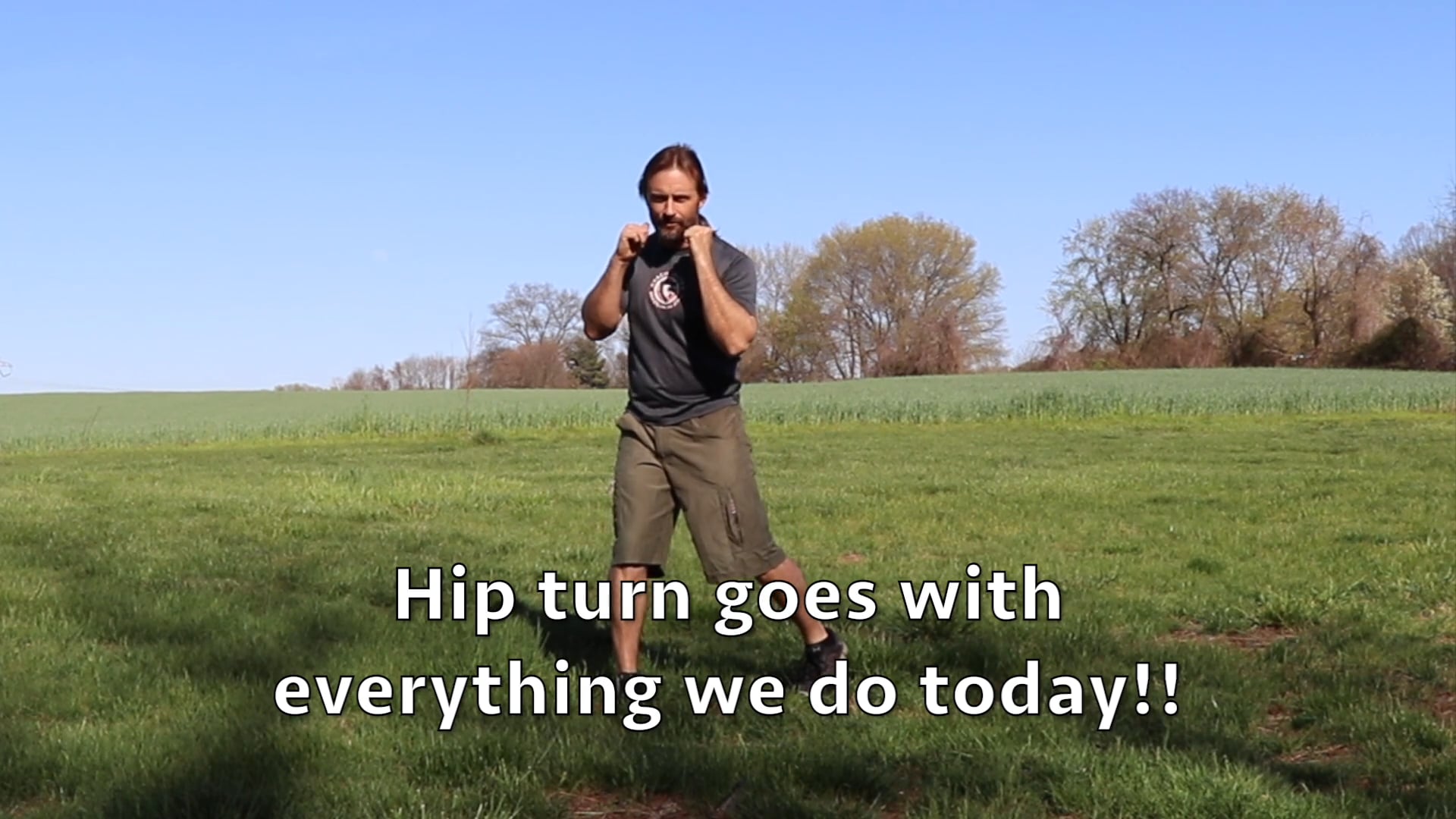 Online Class (MMA Tai Chi 4)