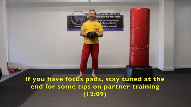 Online Class: 3 Punch Combinations
