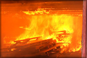 IF102 Combustion & Fire Behavior