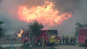 WUI005 - Firefighting Strategies & Tactics