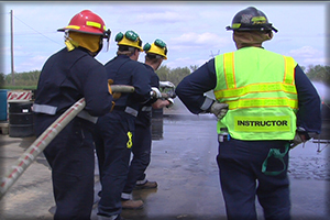 IF101 Organization & Safety