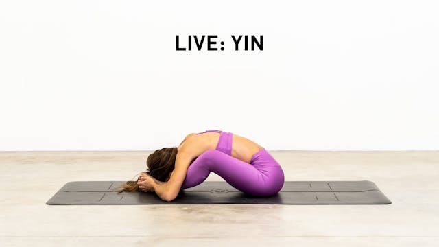 Live: March 31 Yin