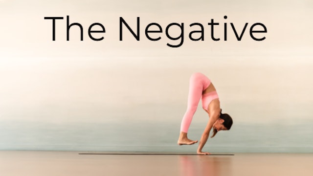 Video 6: The Negative