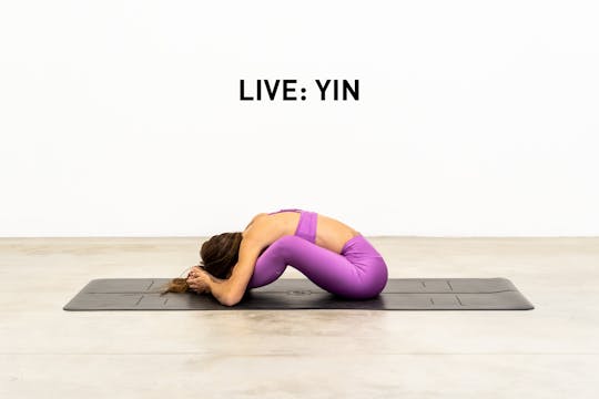 Live: March 3 Yin