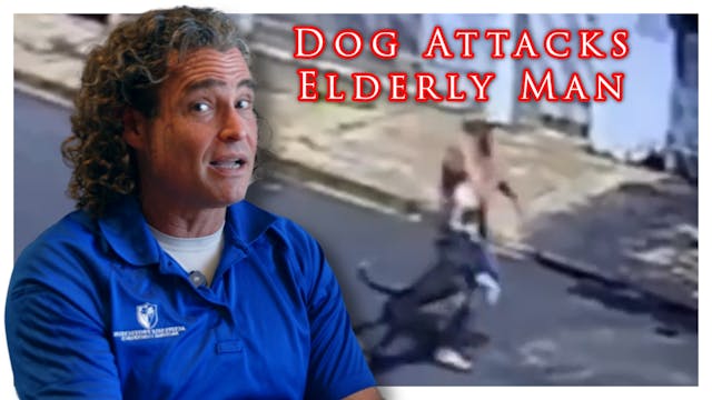 Legal Trouble If My Dog Attacks Someone?