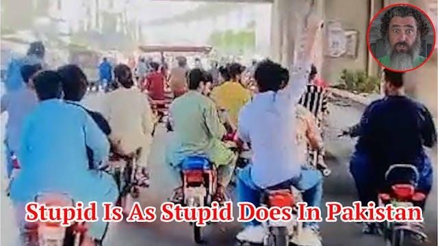  Stupid Is As Stupid Does In Pakistan 