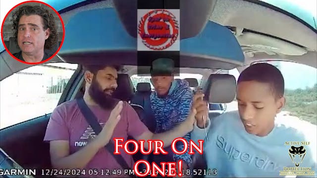 Driver Forced To Deal With Multiple A...