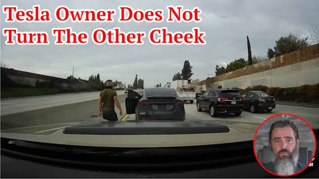 Tesla Owner Does Not Turn The Other C...