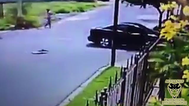 Mugger Ambushes Woman on the Street