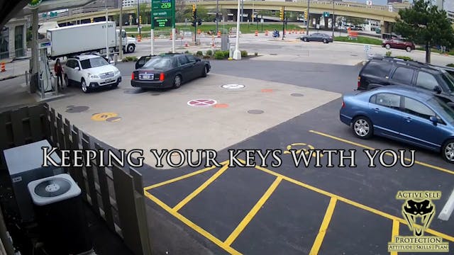 Woman Jumps on Car Hood to Stop Car T...