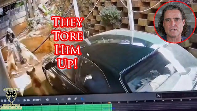 Burglar Wasn't Counting On Protective...