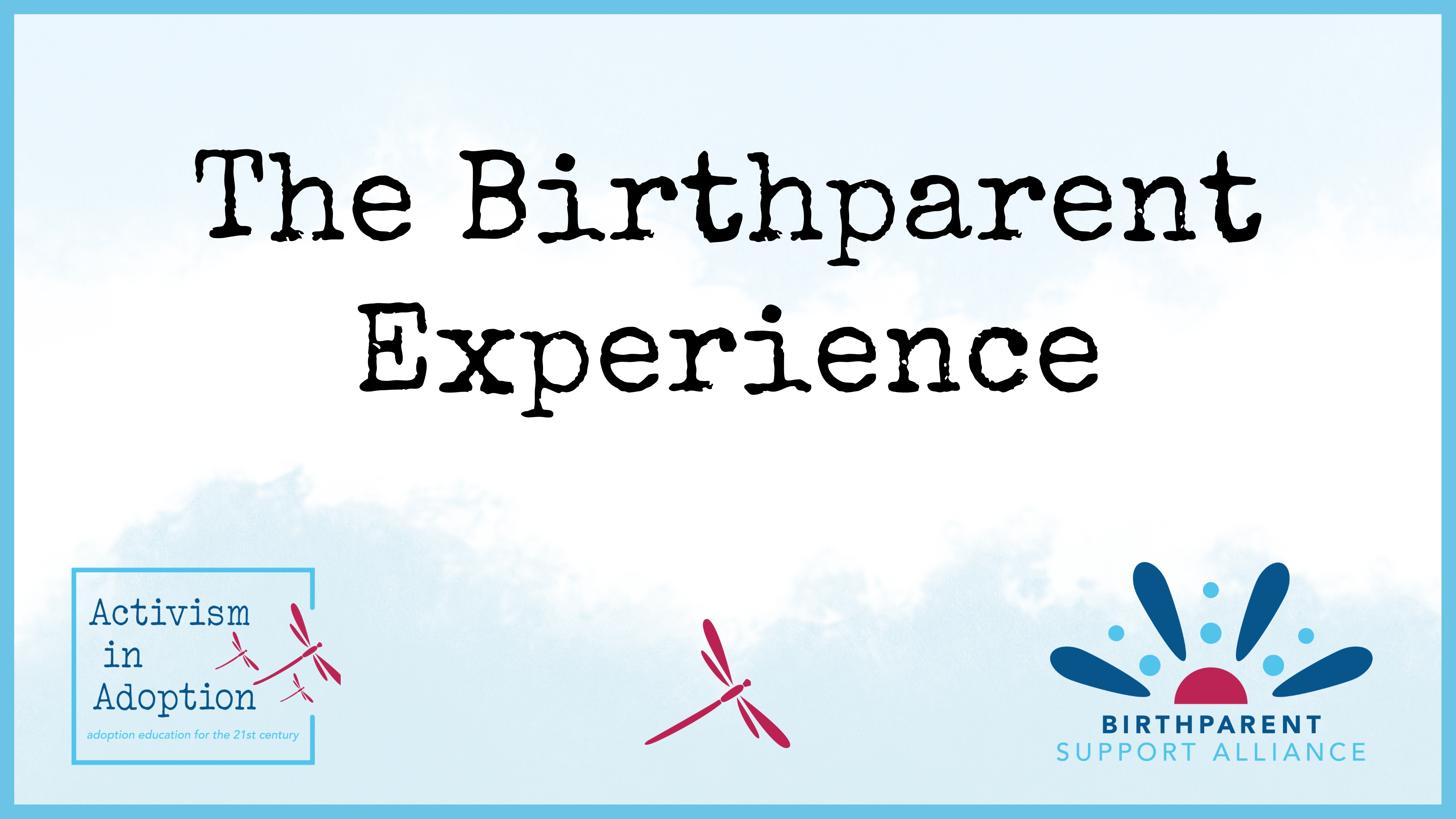 Category: The Birthparent Experience