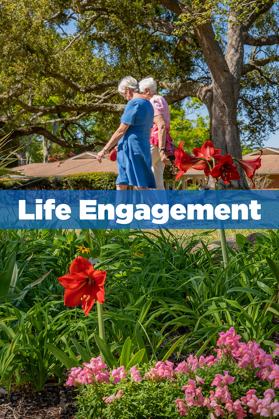 Life Engagement - Azalea Trace