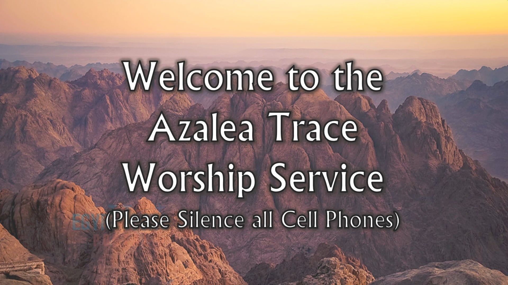 Azalea Trace TV Video