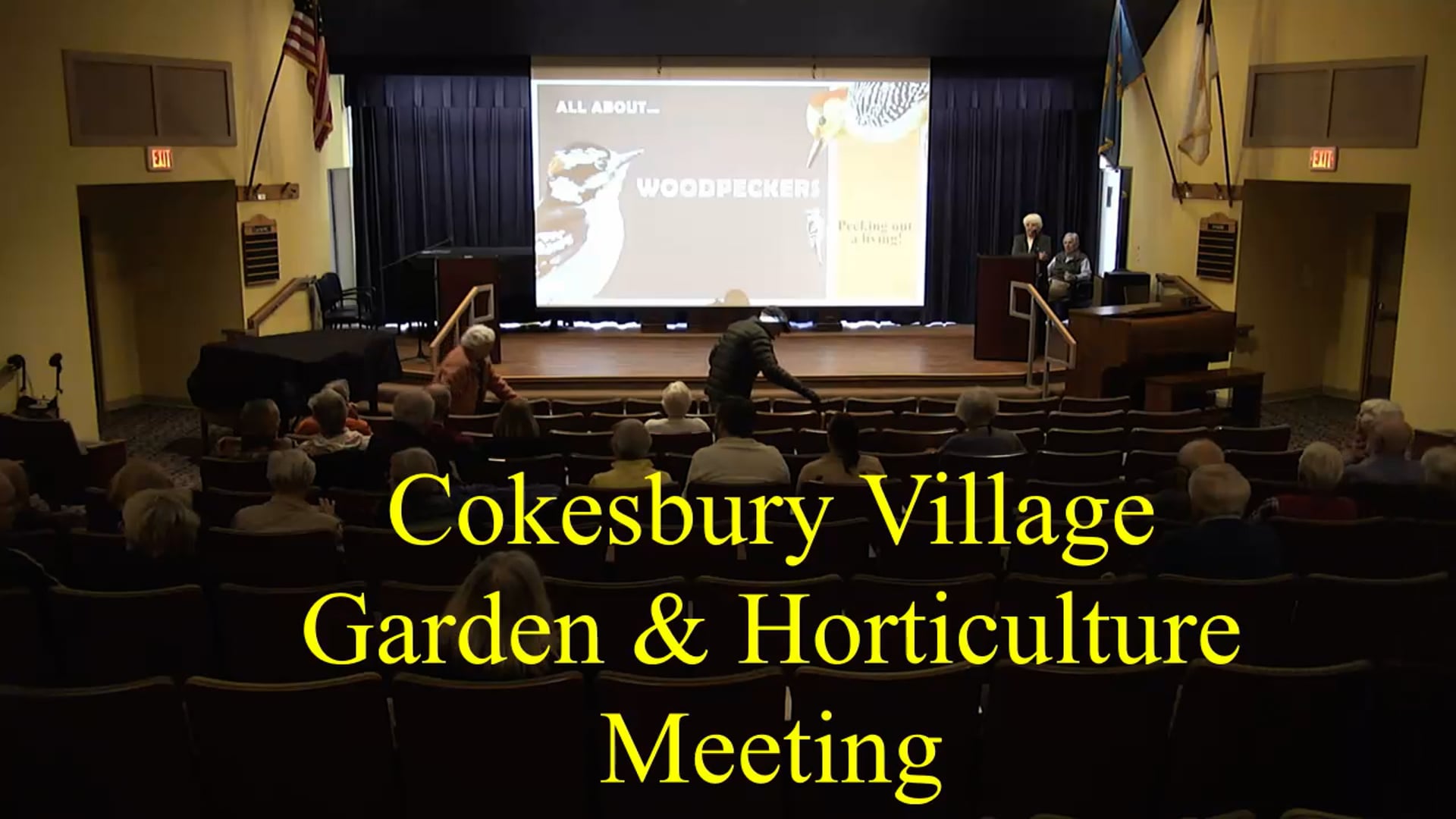 Grounds & Horticulture: All About Woodpeckers