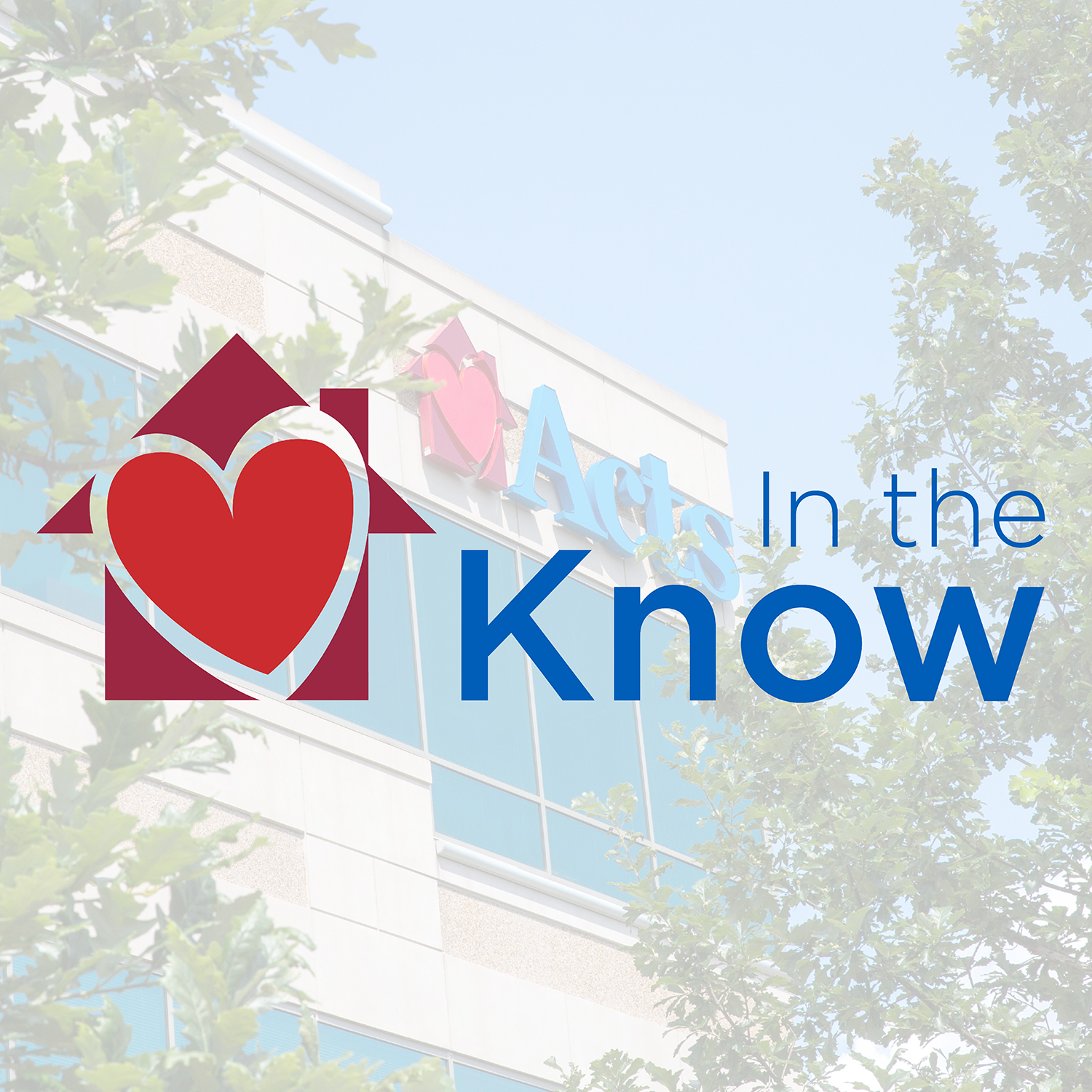 Acts-vision: In the Know