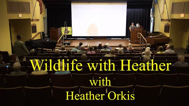 CV Lecture Series: Wildlife with Heather