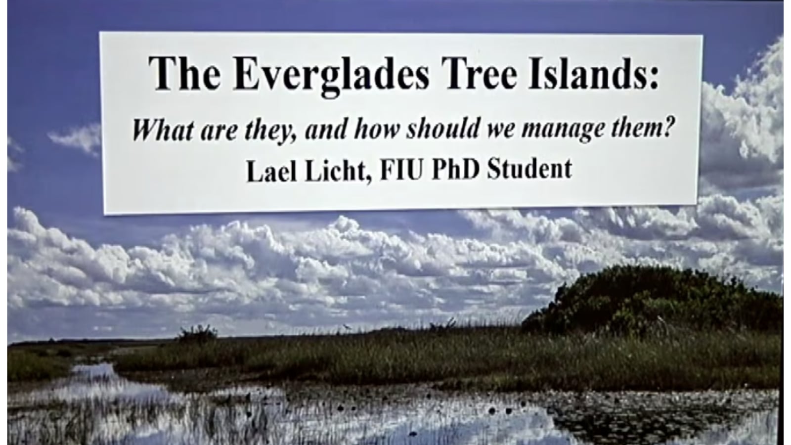 The Everglades Tree Islands: What are they, and How should we manage them?