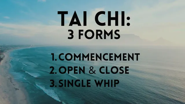 TAI CHI 3 FORMS 2-18-2026