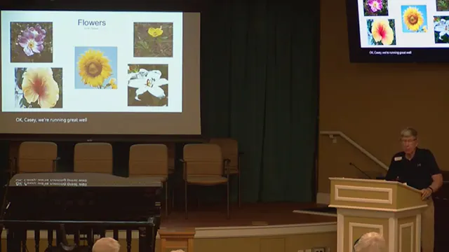 5/8/25 - KC Randall The Flower