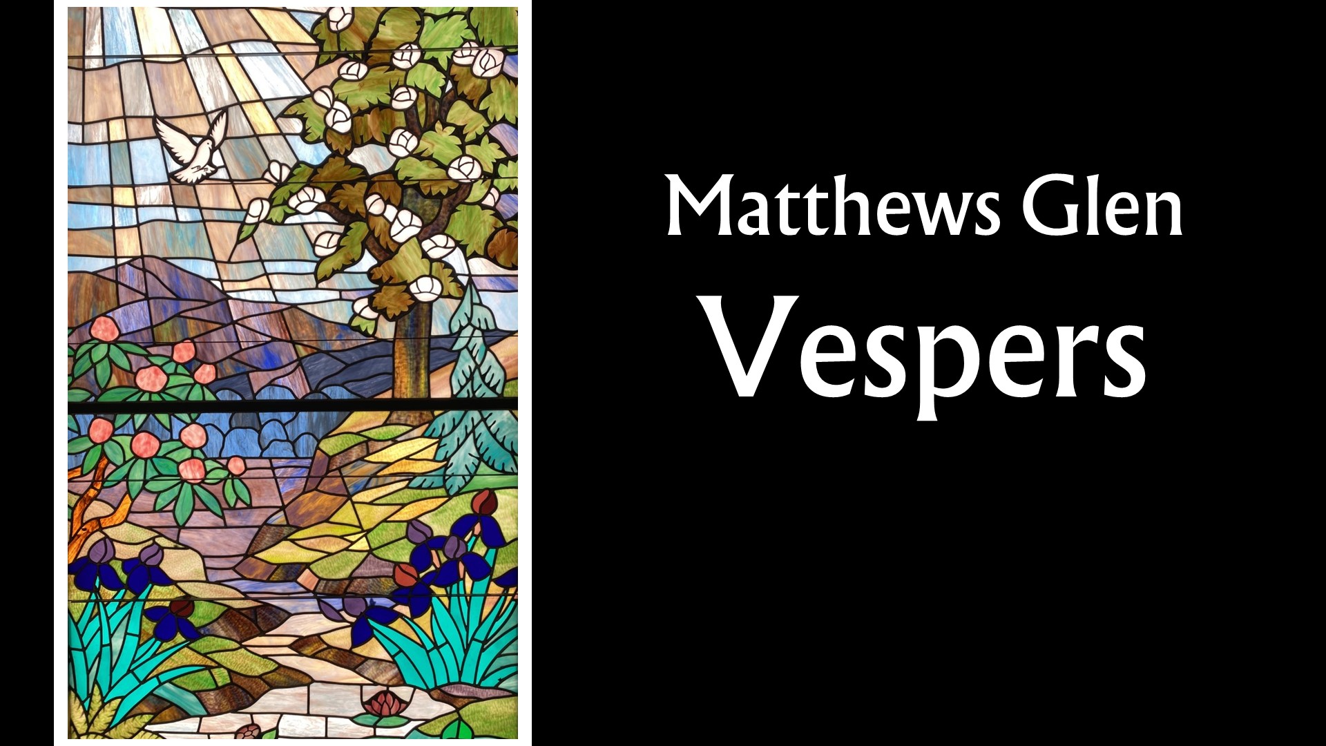 Matthews Glen TV Video