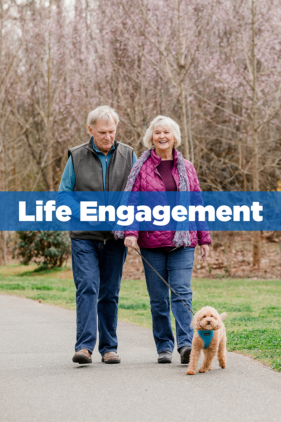 Life Engagement - Matthews Glen