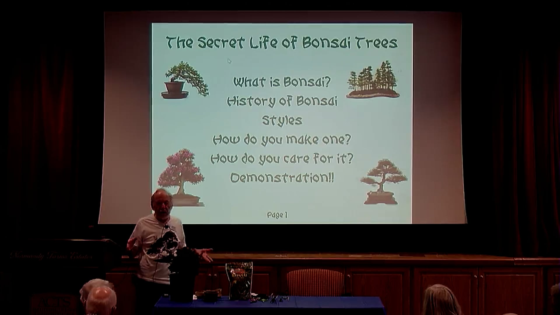 Bonsai Talk with Gerry Liebling