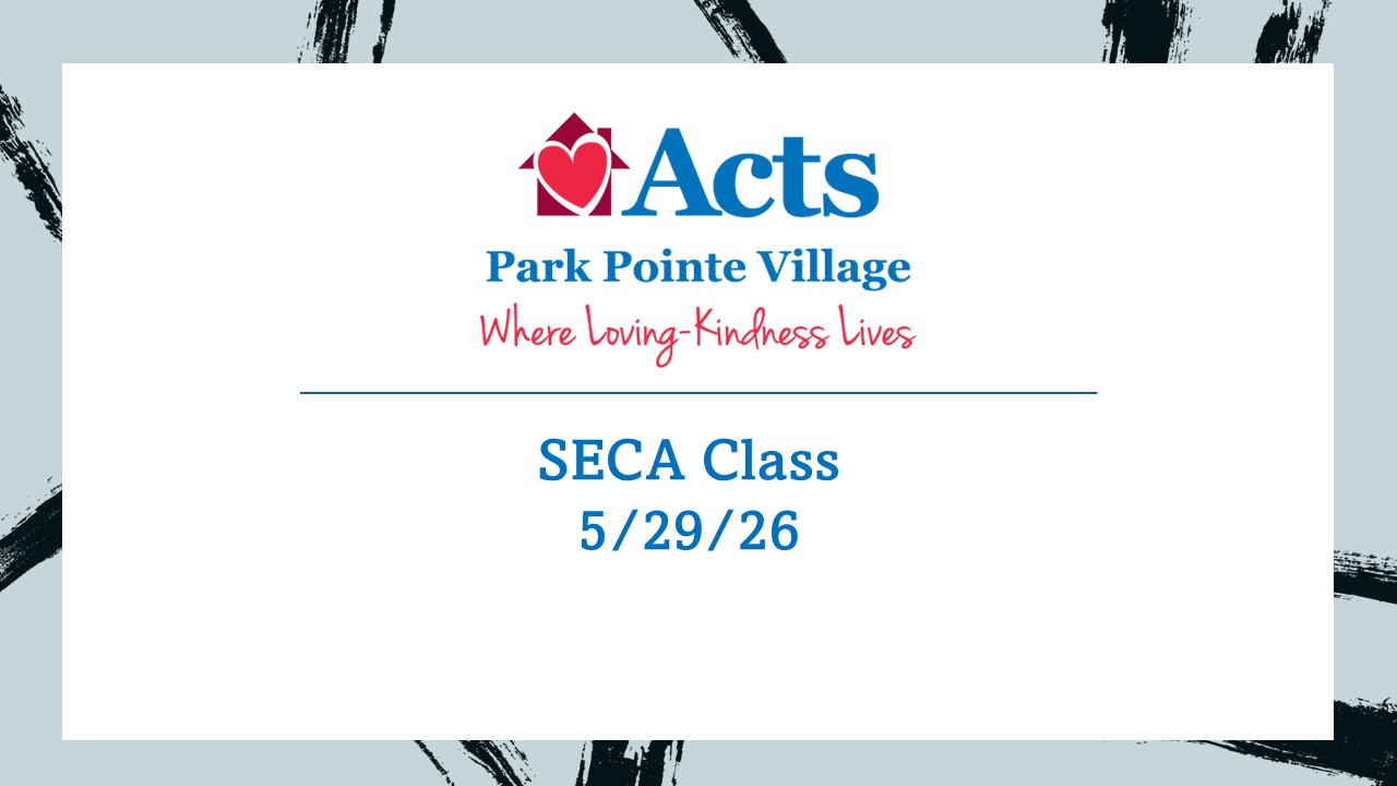 Park Pointe Village TV Video
