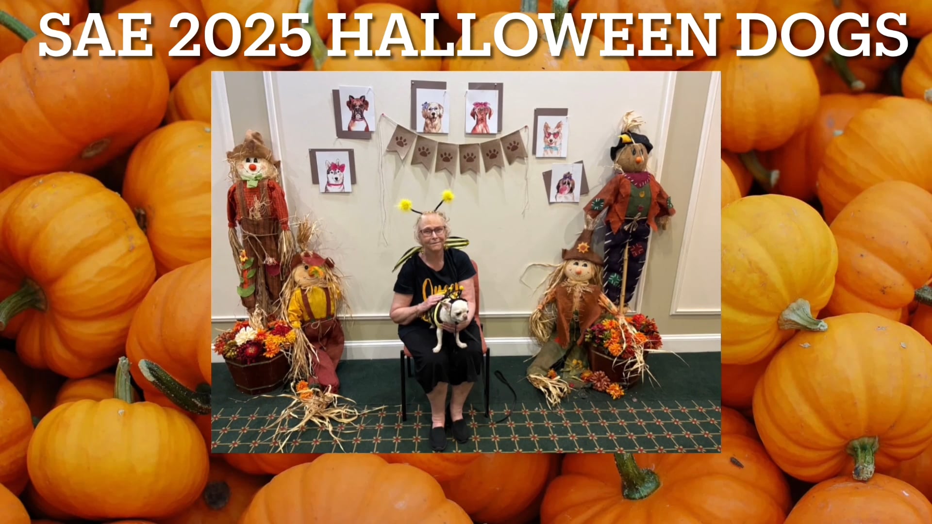 SAE 2025 Halloween Dog