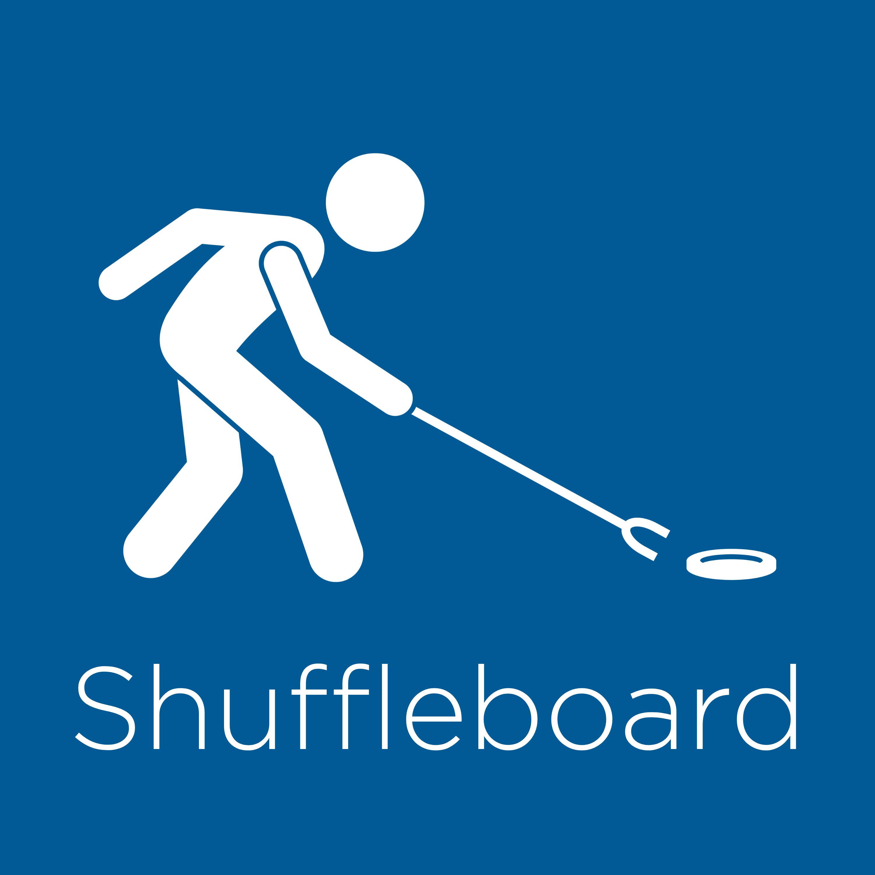Shuffleboard - 2026 Northeast OlympiActs