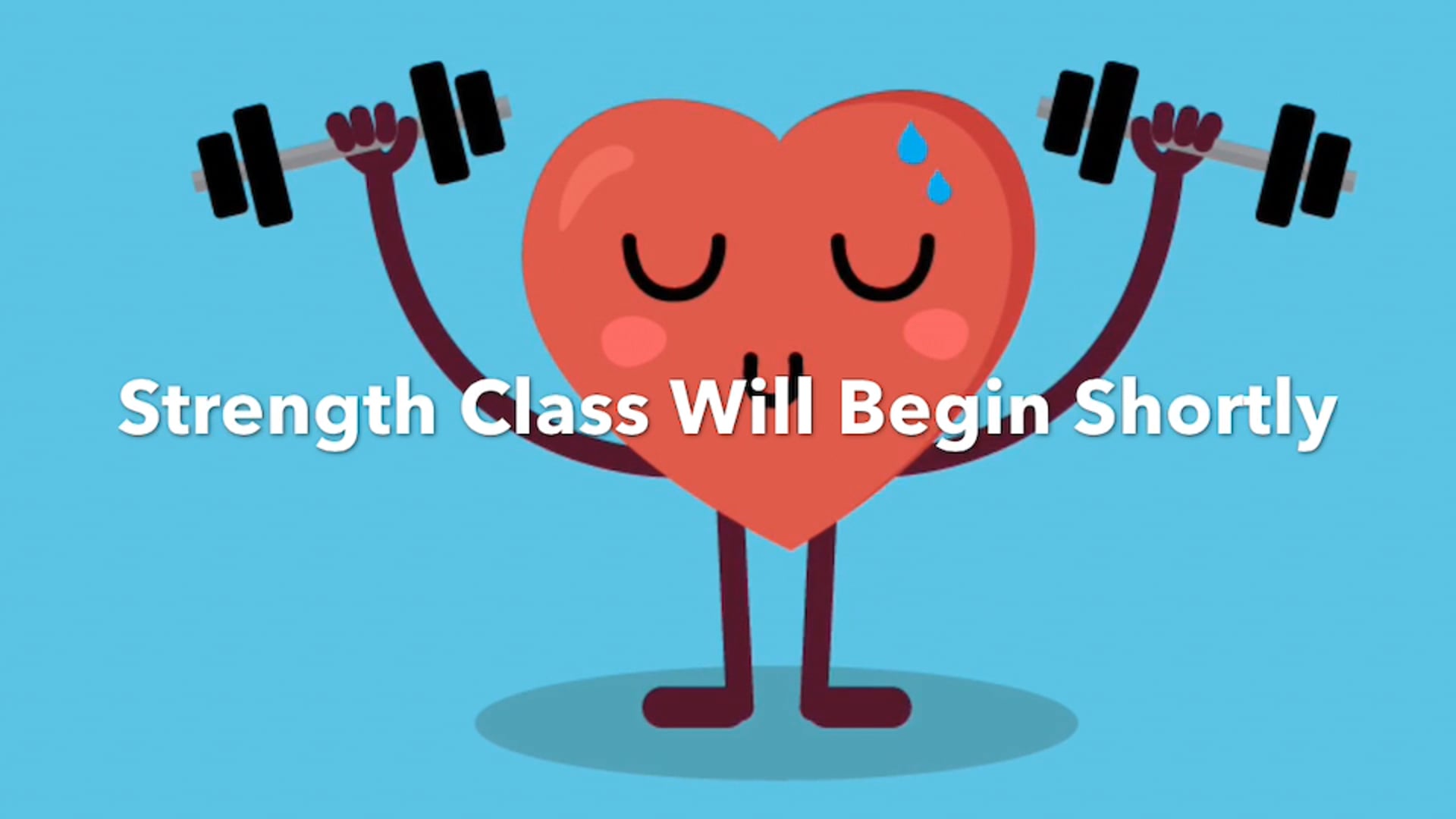 Seated Strength 2 weights 1 band 40 mins-15 min rest- 30 mins stretching-Video L