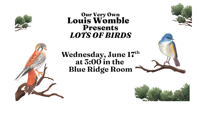 Lots of Birds - Louis Womble - June 1...