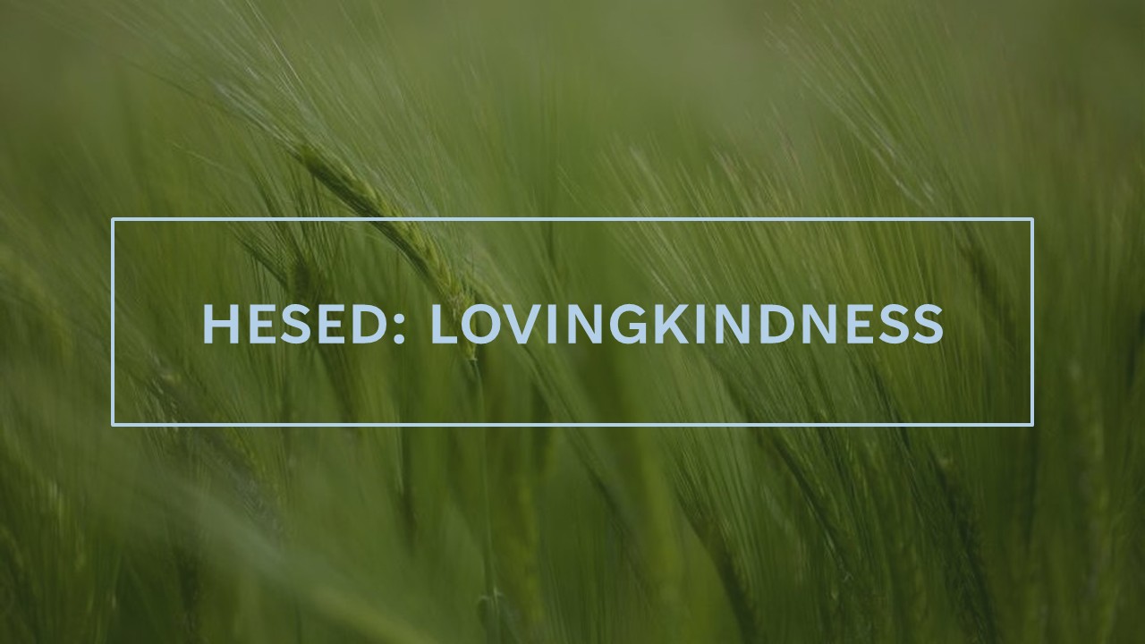 Hesed: Lovingkindness in Our Community Devotional