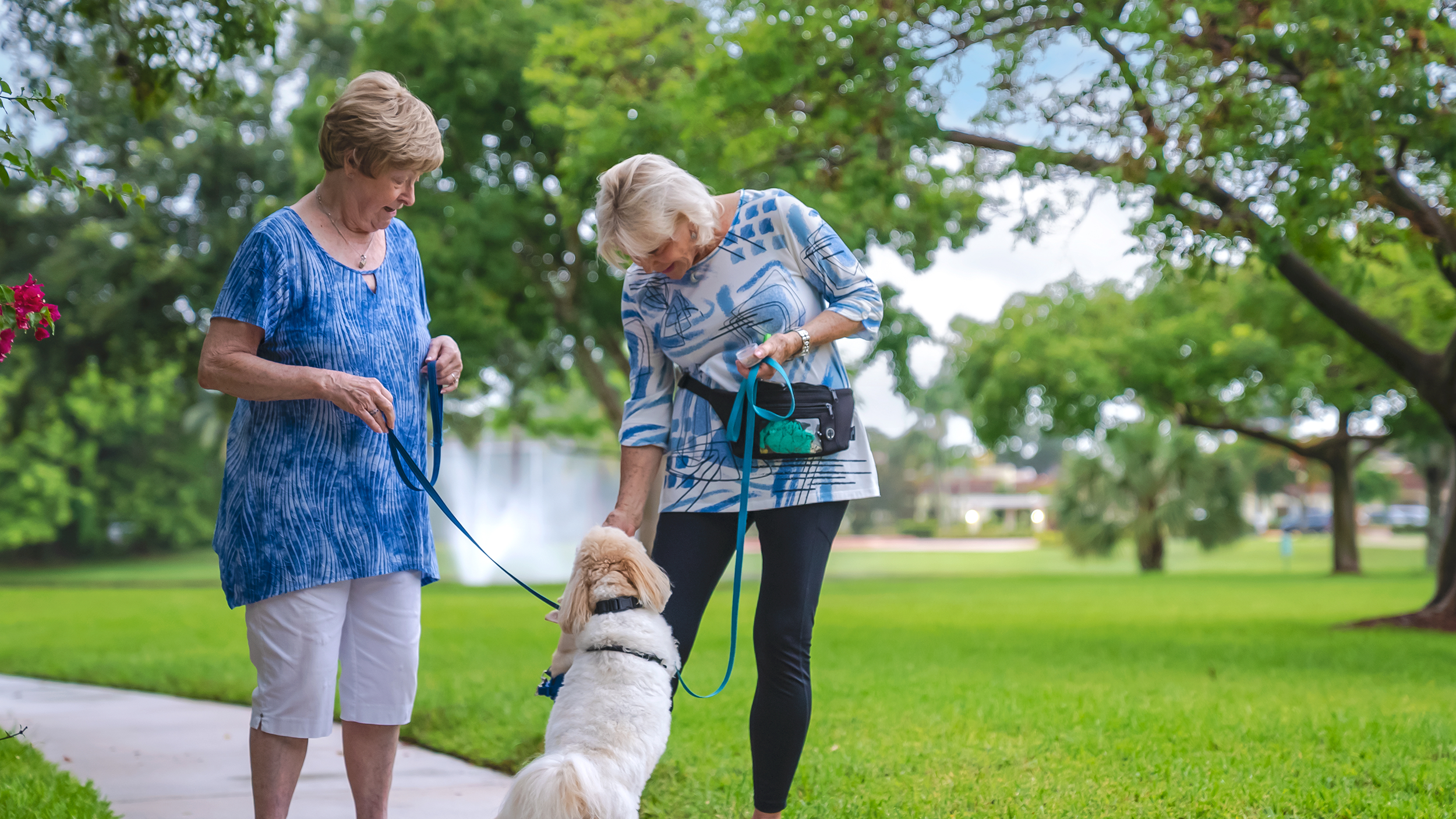 Resources for Prospective Residents