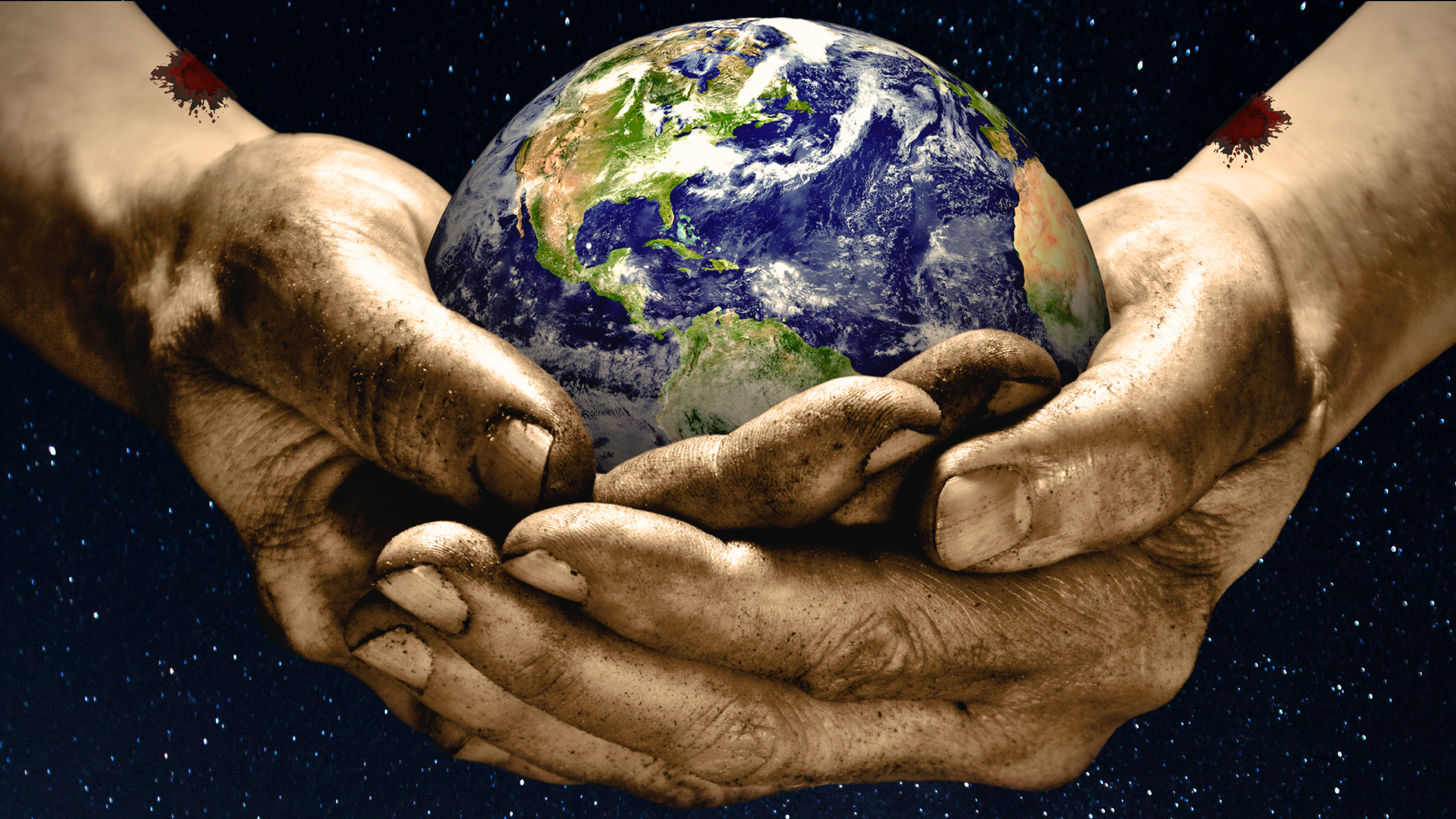 The Rescue Project (Multiple Languages)