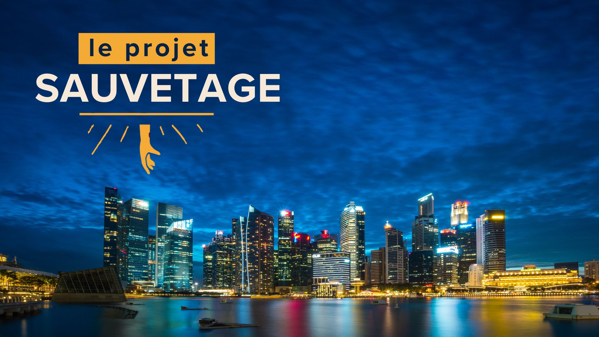 Le Projet Sauvetage (French)