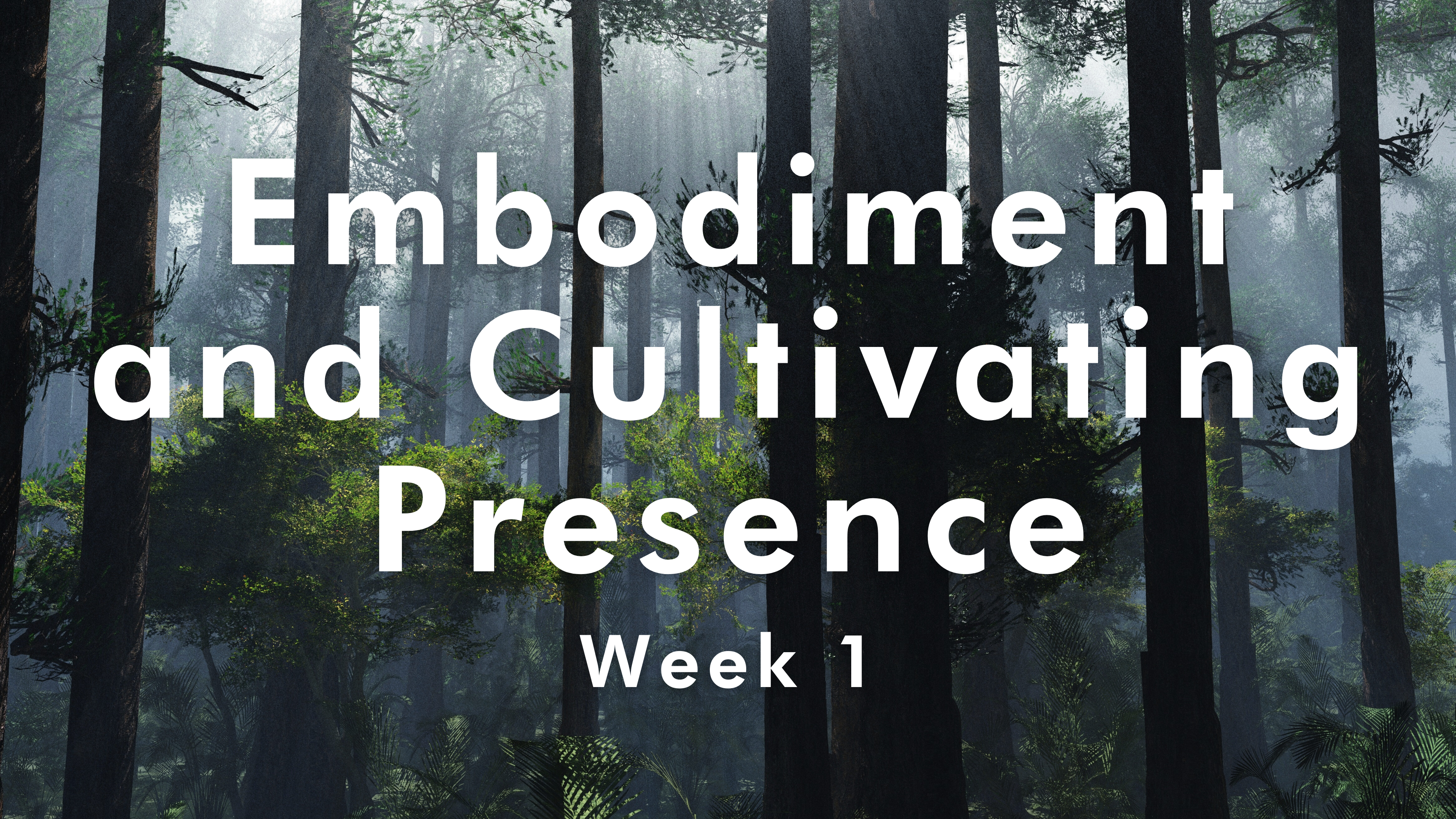 Embodiment and Cultivating Presence - Week 1