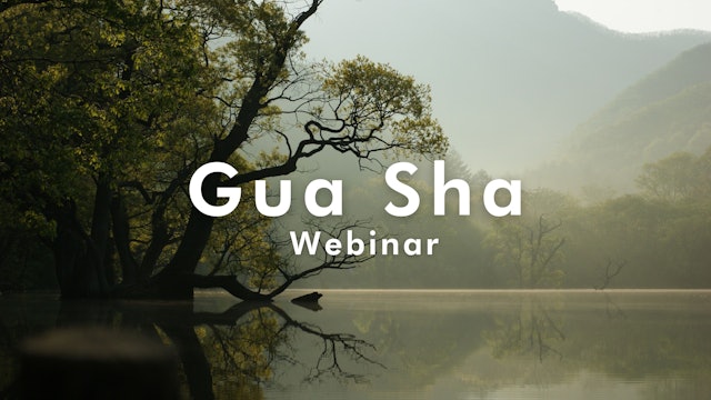 Gua Sha Webinar 