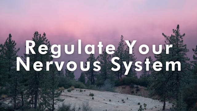 Regulate Your Nervous System