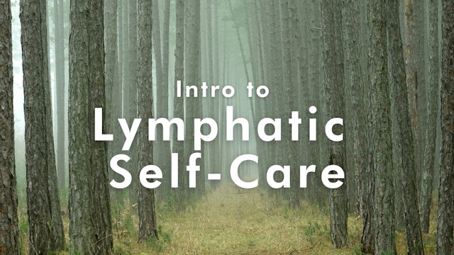 Intro to Lymphatic Self Care