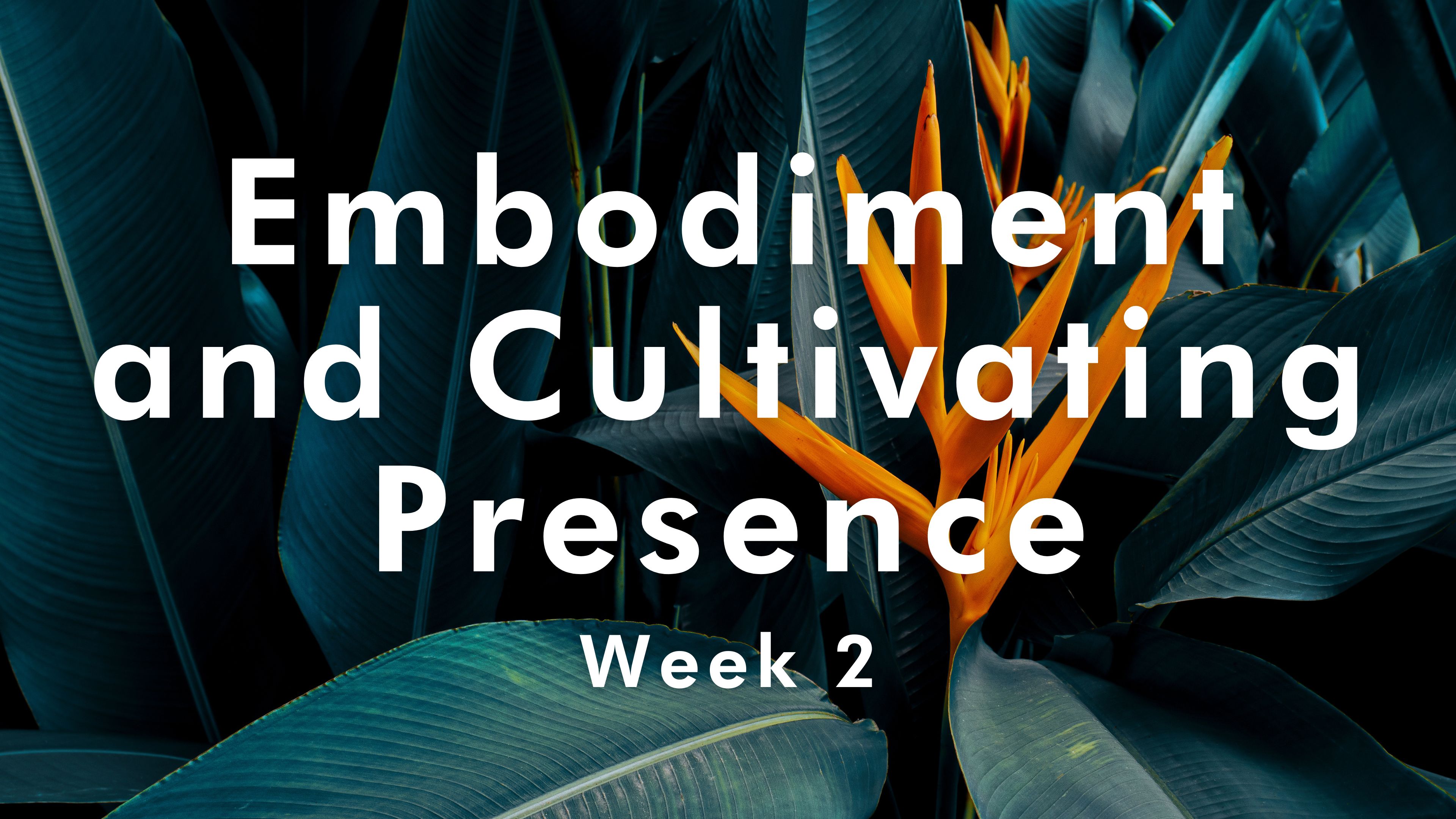Embodiment & Cultivating Presence - Week 2