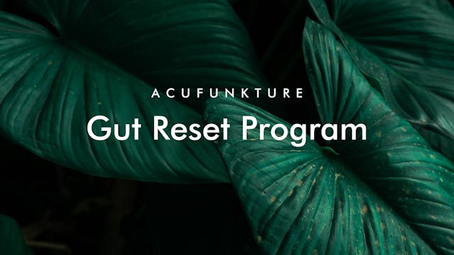 The Gut Reset Program