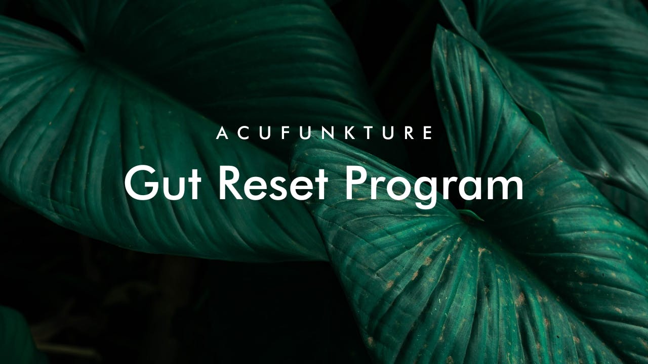 The Gut Reset Program