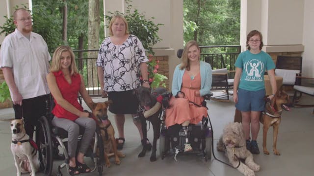 ADA LAW FOR SERVICE ANIMALS the TRAINING VIDEO