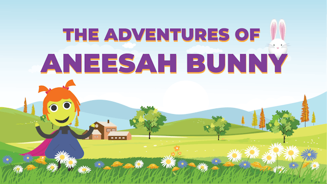 The Adventures of Aneesah Bunny