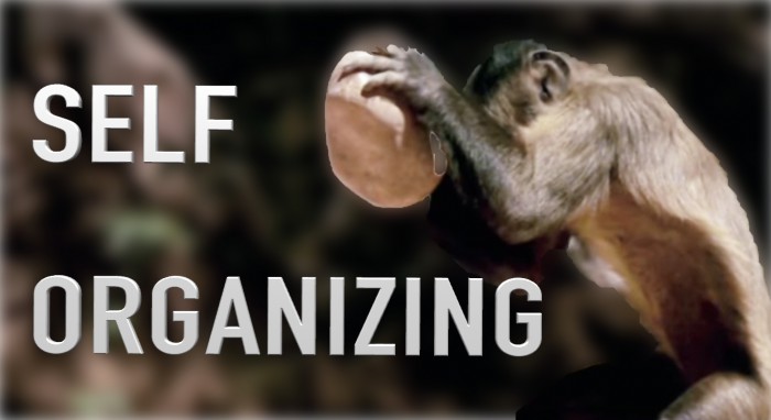 Self Organization