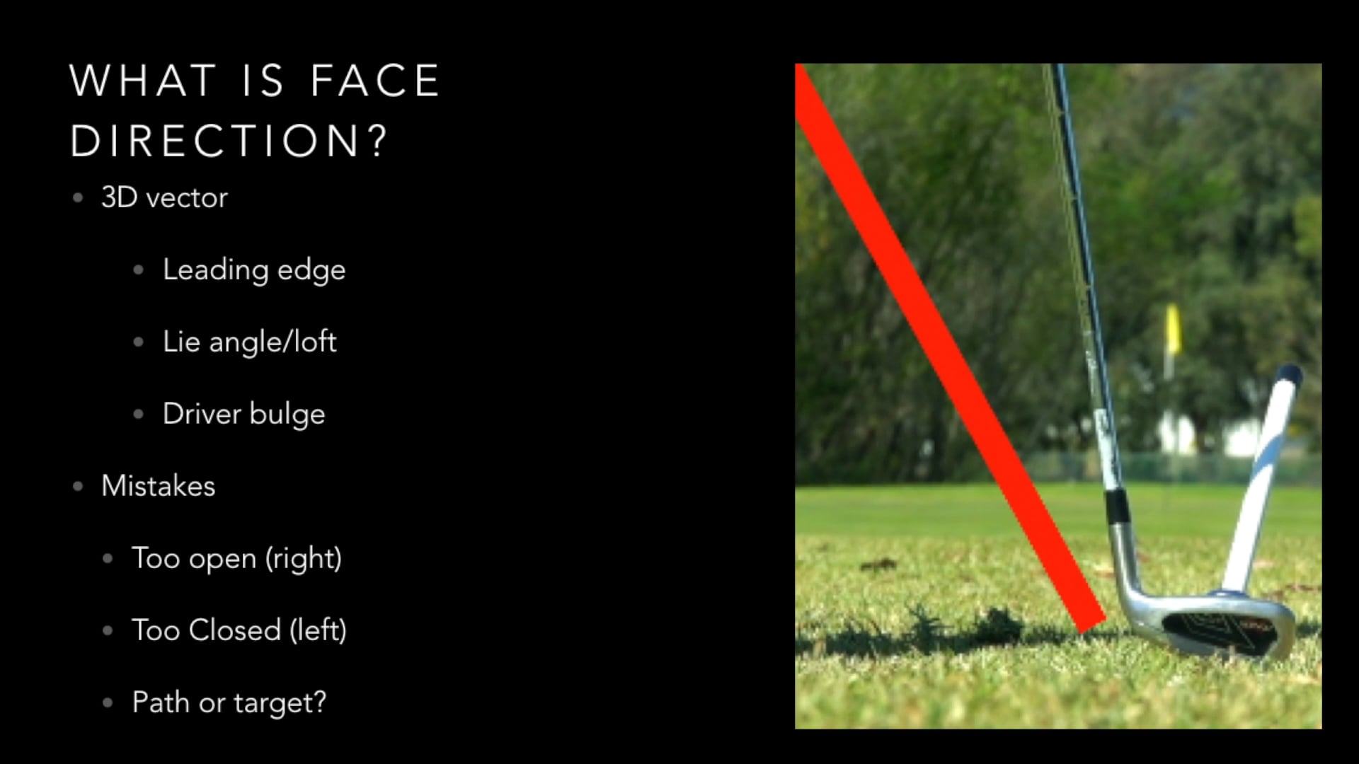 Face Direction Summary